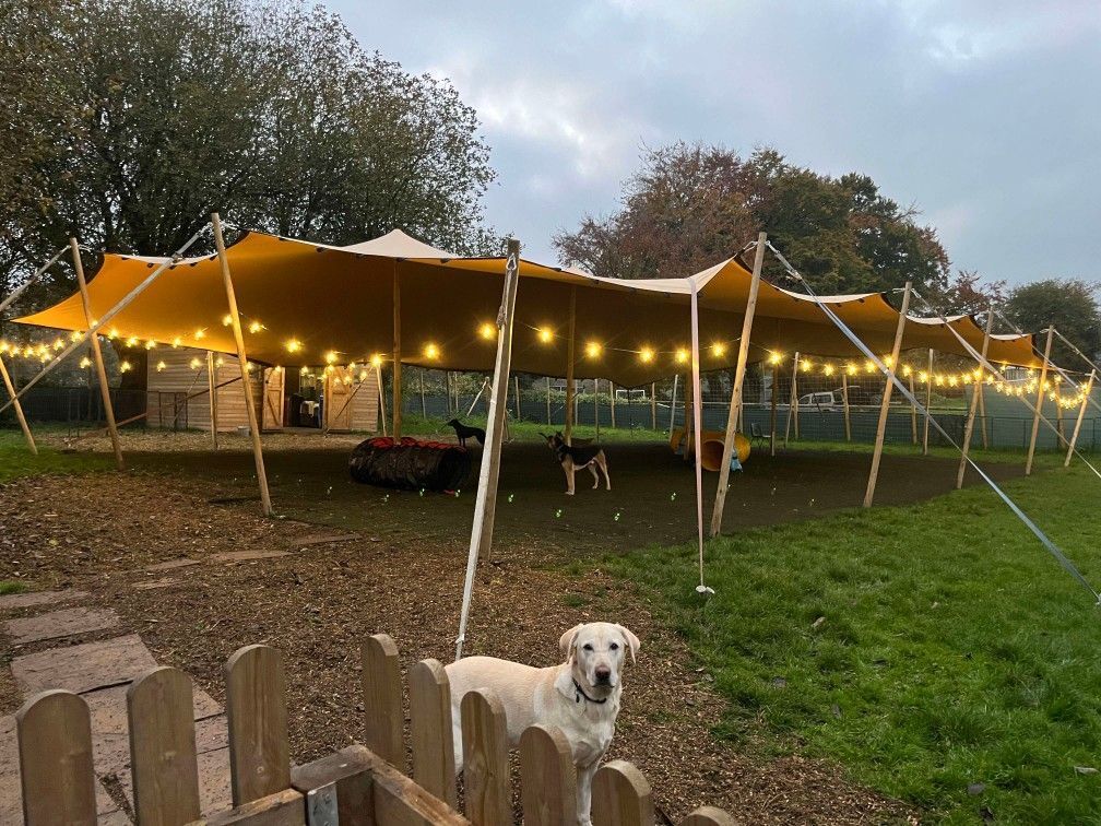 Day care tent with festoon lights