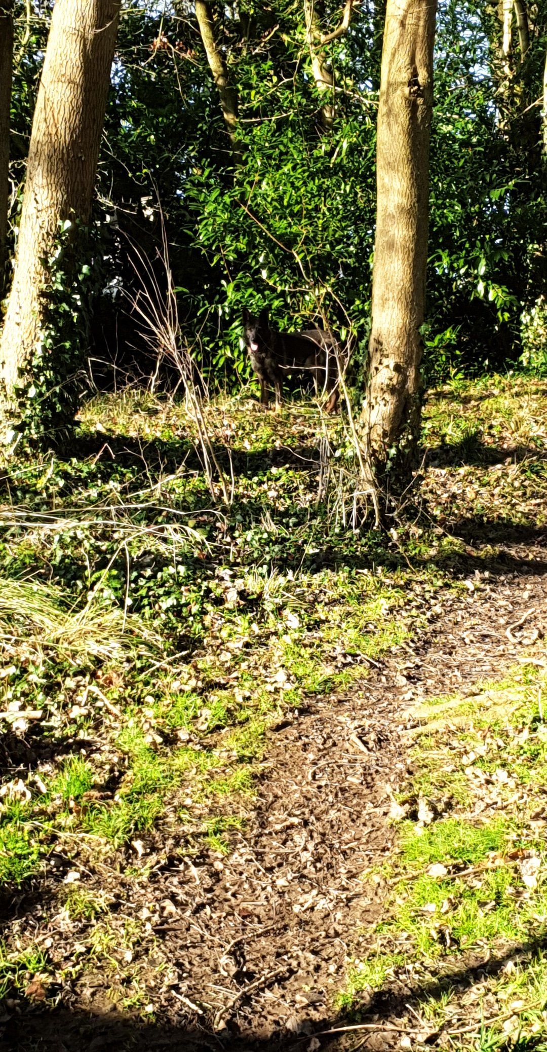 Winter walk in the grounds