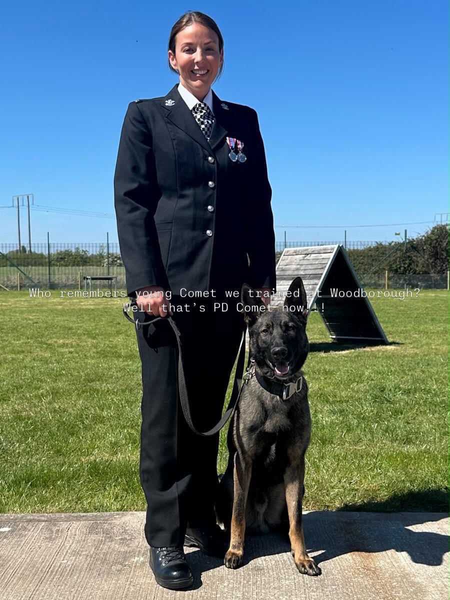 Police officer in dress uniform with PD Comet, a dog trained at Woodborough