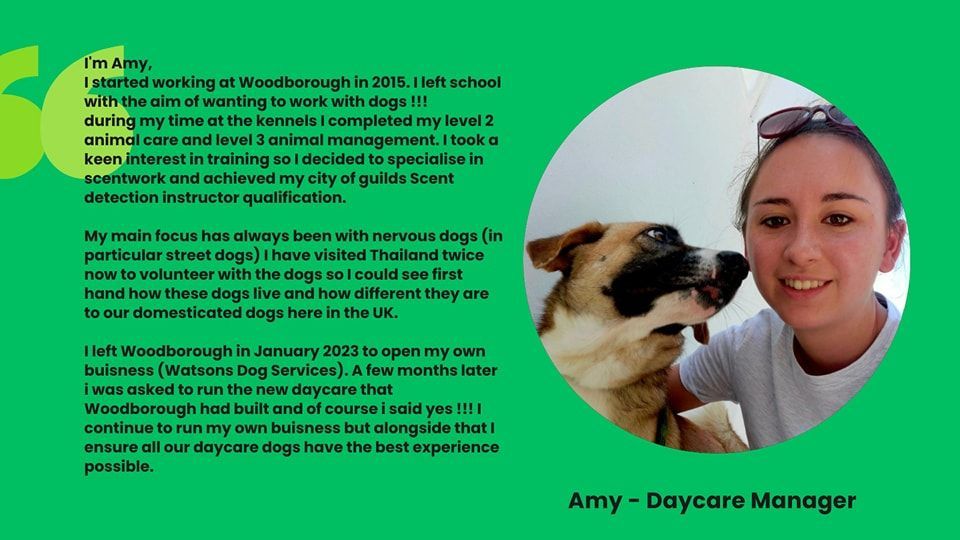 Amy